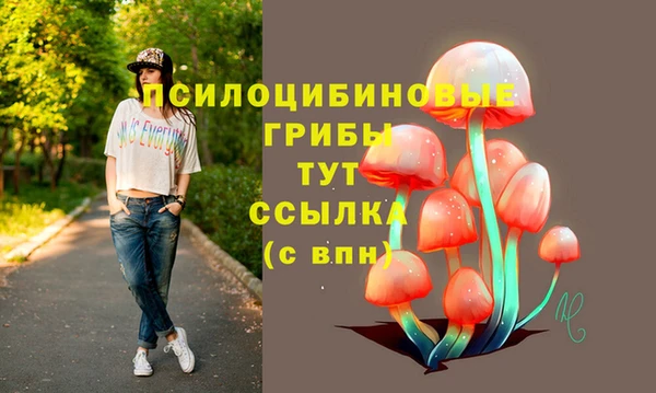 гидропоника Алексеевка