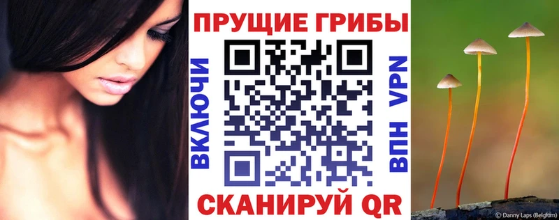 Псилоцибиновые грибы Magic Shrooms ОМГ ОМГ как войти Харовск
